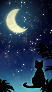 スマホ用壁紙三日月と猫-【Wallpaper for smartphone】Crescent moon and cat-