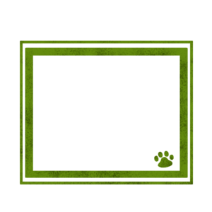 シンプルラインと猫の肉球フレームグリーン-Simple line and cat's pad frame green-