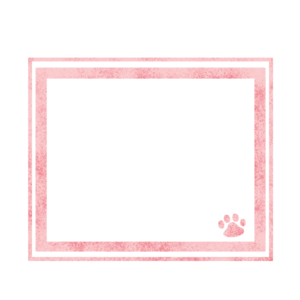 シンプルラインと猫の肉球フレームピンク-Simple line and cat's pad frame pink-