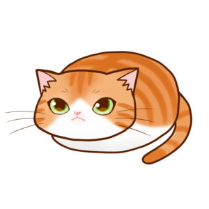 まんじゅう茶白全身Ａ-Manju cat redtabby&white whole body A-