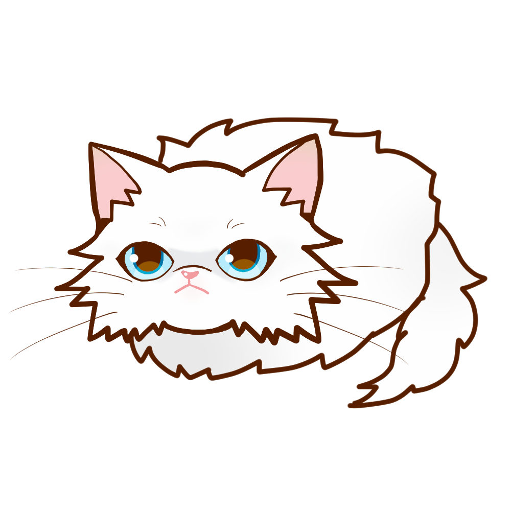 まんじゅうペルシャホワイトソリッド全身Ａ-Manjyu cat persian-whitesolid whole body A-