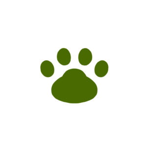 -simple-paw-pad-green-シンプルな肉球足跡グリーン