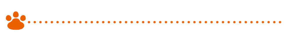 猫の肉球と点線のラインオレンジ-cat-paw-pad-dotted-line-orange-