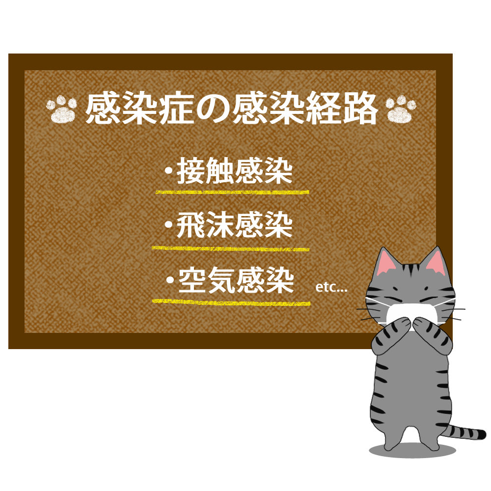 猫イラストシチュエーションサバトラ猫が教える感染症の感染経路