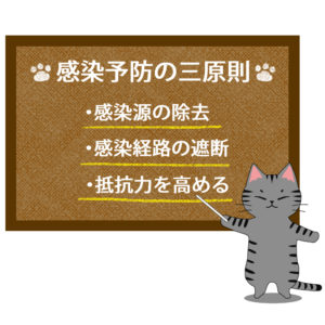 猫イラストシチュエーションサバトラ猫が教える感染予防の三原則