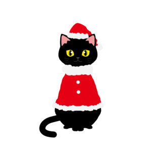 クリスマス赤いサンタ服を着た猫黒