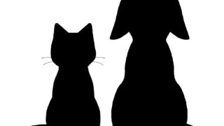 父の日 バラと黒猫シルエット 猫画工房