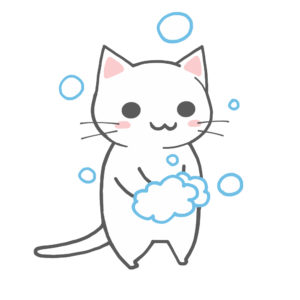 手を洗う猫(全身)白