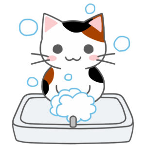 洗面台で手を洗う猫三毛
