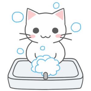 洗面台で手を洗う猫白