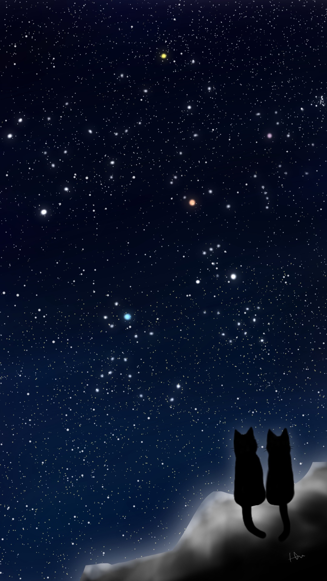 スマホ用壁紙冬の星座が輝く夜空と猫