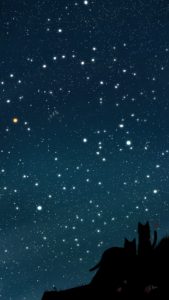 スマホ用壁紙春の星座が輝く夜空と猫