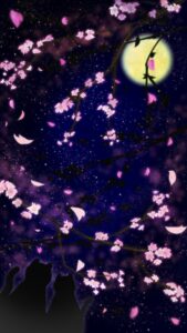 スマホ用壁紙夜桜を見上げる猫