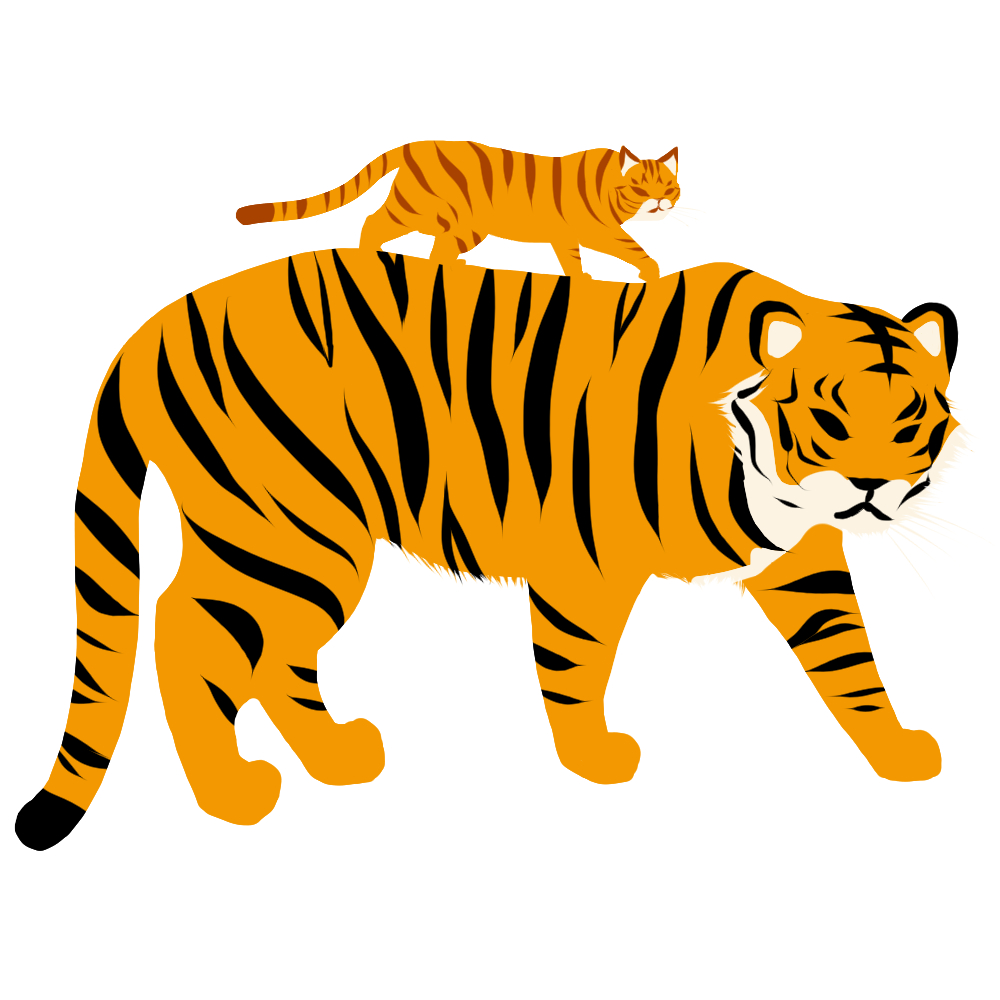 虎とトラ猫のイラスト 猫画工房