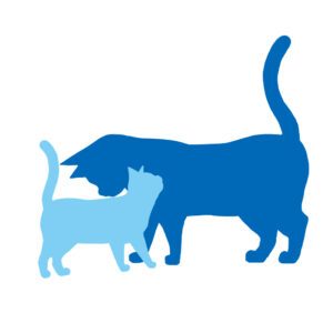 シルエットスリスリする2匹の猫ツートンカラーブルーライトブルー
