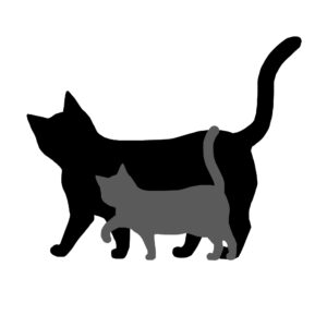シルエット並んで歩く2匹の猫ツートンカラーブラックグレー