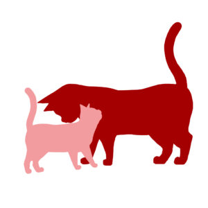 シルエットスリスリする2匹の猫ツートンカラーレッドピンク