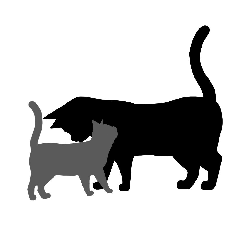 シルエットスリスリする2匹の猫ツートンカラーブラックグレー