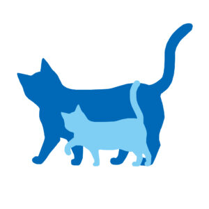 シルエット並んで歩く2匹の猫ツートンカラーブルーライトブルー